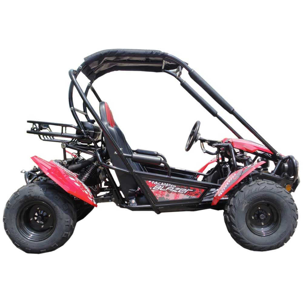 Trailmaster Blazer 2 150cc Go Cart GoKart Off Road Dune Buggy 2 Seater