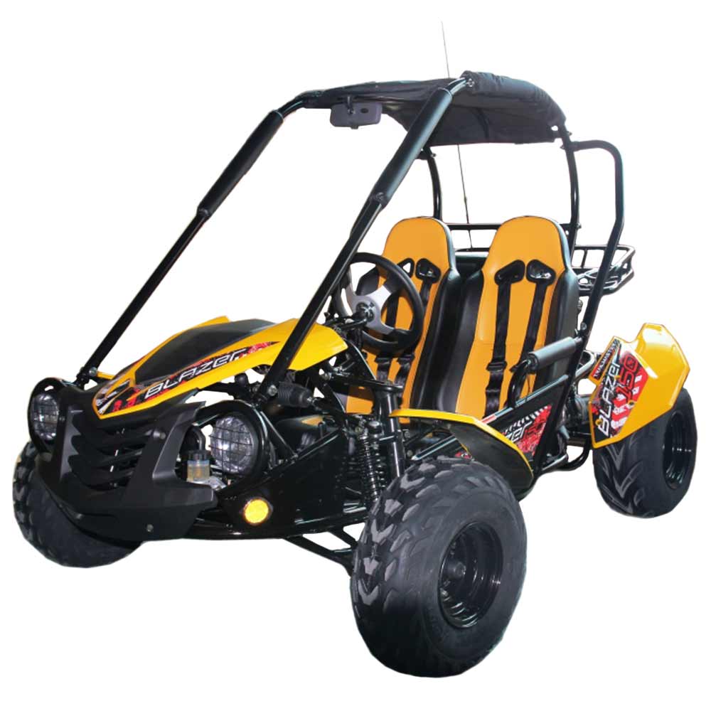 Trailmaster Blazer 2 150cc Go Cart GoKart Off Road Dune Buggy 2 Seater
