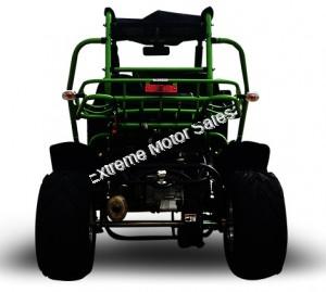 Trailmaster 200E XRX Go Cart Go Kart Dune Buggy 200cc Adult Size