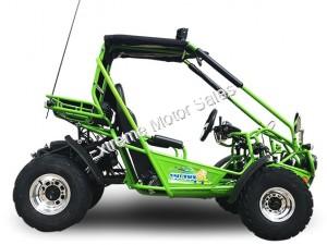 Trailmaster 200E XRX Go Cart Go Kart Dune Buggy 200cc Adult Size