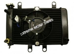 Radiator Assembly and Cooling Fan for 250cc 4-stroke Scooters ATVs Karts