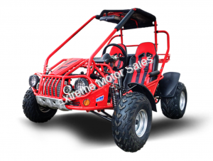 Trailmaster 200E XRS Go Cart Go Kart EFI Fully Automatic Buggy