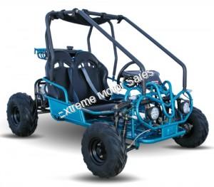 Mini Raptor 125cc Kids Go Cart Go Kart 2 Seat with Reverse