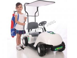 Junior Pro Golf Cart 6-Volt Battery-Powered Ride-On Power Wheel