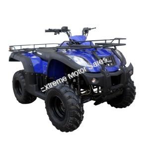 Canyon 250 ATV Blue