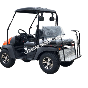 HJS Bighorn 200 GVX DF Hi Lo Utility Vehicle SXS UTV Golf Cart