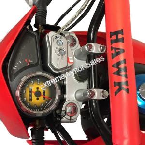 Hawk 250cc Dirt Bike Enduro GAUGES