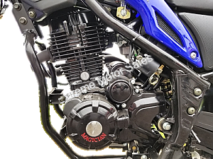 Magician 250cc Enduro Dirt Bike Engine