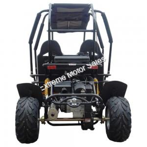Trailmaster Blazer 4 Seat 200X Go Cart GoKart Dune Buggy| Carbureted