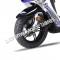 Wolf EX-150 150cc Gas Scooter Moped Street Legal 2 Year Warranty