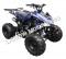 Snake Eyes 125cc Kids Sport ATV Automatic with Reverse Full Size Quad
