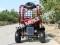 Falcon 125cc Kids Youth Go Cart Dune Buggy