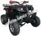Extreme Cougar 200cc Utility ATV 4 Wheeler Quad Automatic Transmission