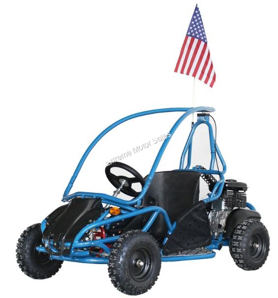 Extreme Motor Sales > Kids Go Cart / Go Kart > DF80GKS Kids Gokart Roll
