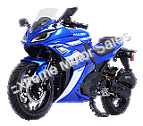 Falcon 250cc Scooter Motorcycle Sport Bike | Automatic Transmission