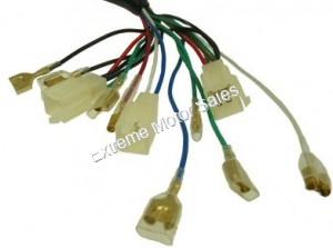 Mini ATV Wiring Harness 50cc 70cc 90cc 110cc Chinese Quads