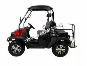 HJS Bighorn 200 EFI GVXL-T DF Hi Lo Utility Vehicle SXS UTV Golf Cart