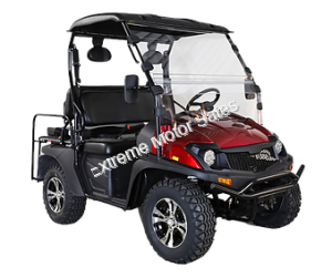 Linhai Yamaha Bighorn 200GVX Golf Cart UTV