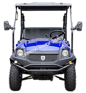 HJS Bighorn 200 GVX DF Hi Lo Utility Vehicle SXS UTV Golf Cart