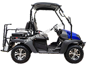 HJS Bighorn 200 GVX DF Hi Lo Utility Vehicle SXS UTV Golf Cart