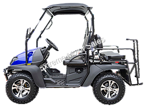 HJS Bighorn 200 GVX DF Hi Lo Utility Vehicle SXS UTV Golf Cart