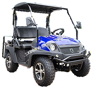 HJS Bighorn 200 GVX DF Hi Lo Utility Vehicle SXS UTV Golf Cart