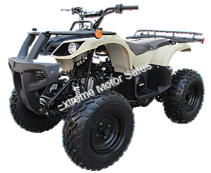 Coolster ATV 3150 3150DX-2 Quad Swing Arm MGM-YA009