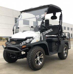 Trailmaster 200GV 200cc Utility Vehicle SXS UTV Gas Side by Side