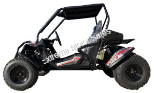 TrailMaster Cheetah 300E Go Cart Go Kart CVT Auto w/Reverse EFI