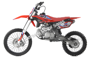 Apollo DB-Z40 Max 140cc Dirt Bike Pit Bike 4 Speed Manual Transmission