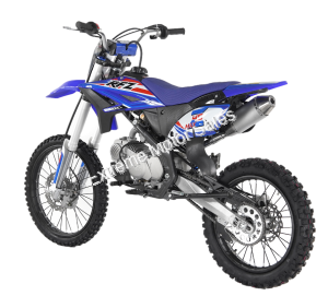 Apollo DB-Z40 Max 140cc Dirt Bike Pit Bike 4 Speed Manual Transmission