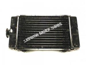 Tank Vision R3 250cc Motorcycle Radiator