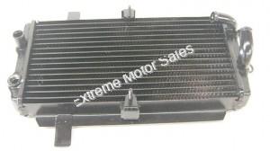Tank Touring 250cc Scooter Radiator Water Cooled 260