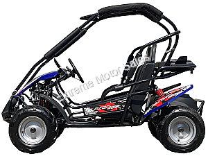 Trailmaster Blazer i200R