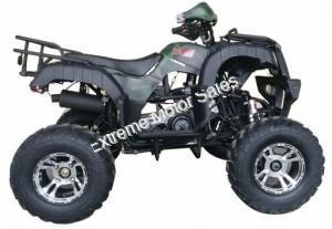 Extreme Cougar 200cc Utility ATV 4 Wheeler Quad Automatic Transmission