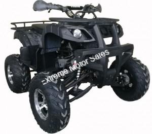 Extreme Cougar 200cc Utility ATV 4 Wheeler Quad Automatic Transmission