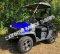 HJS Bighorn 200 EFI GVXL-T DF Hi Lo Utility Vehicle SXS UTV Golf Cart
