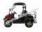 HJS Bighorn 200 EFI GVXL-T DF Hi Lo Utility Vehicle SXS UTV Golf Cart