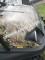 HJS Bighorn 200 GVX DF Hi Lo Utility Vehicle SXS UTV Golf Cart