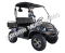HJS Bighorn 200 GVX DF Hi Lo Utility Vehicle SXS UTV Golf Cart