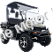 Trailmaster 200GV 200cc Utility Vehicle SXS UTV Gas Side by Side