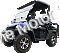 Trailmaster 200GV 200cc Utility Vehicle SXS UTV Gas Side by Side