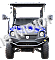 HJS Bighorn 200 GVX DF Hi Lo Utility Vehicle SXS UTV Golf Cart