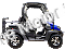 HJS Bighorn 200 GVX DF Hi Lo Utility Vehicle SXS UTV Golf Cart