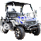 HJS Bighorn 200 GVX DF Hi Lo Utility Vehicle SXS UTV Golf Cart