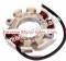 Stator Alternator Charging Coil for Hammerhead Mudhead 208cc Cart