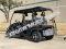 Bighorn 400EFI Gas Golf Cart 6 Seat Injected UTV 2WD/4WD