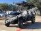 Bighorn 400EFI Gas Golf Cart 6 Seat Injected UTV 2WD/4WD