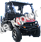 Bighorn 450 GVXL EFI 2WD 4WD Utility Vehicle SXS UTV Golf Cart