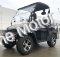 Trailmaster 200GV 200cc Utility Vehicle SXS UTV Gas Side by Side